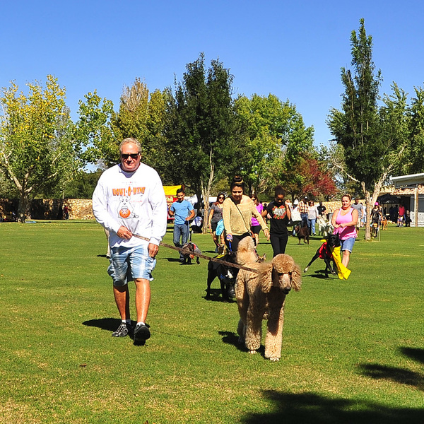 Pets Alive - El Paso Annual Howl-O-Wine Dog Walk
