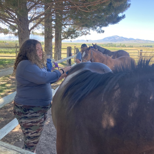2023 Cohort: Southeast Idaho Equine